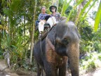 Nina and Jerry on elephant.JPG (160KB)